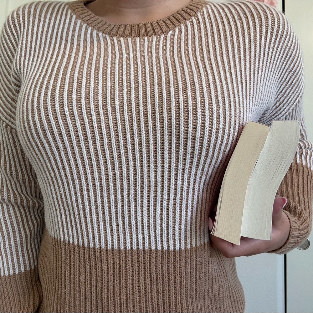 Max Studio Brown and White Striped Sweater